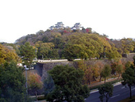 昼間の和歌山城