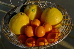 ウェルカムフルーツは宮崎自慢の柑橘類