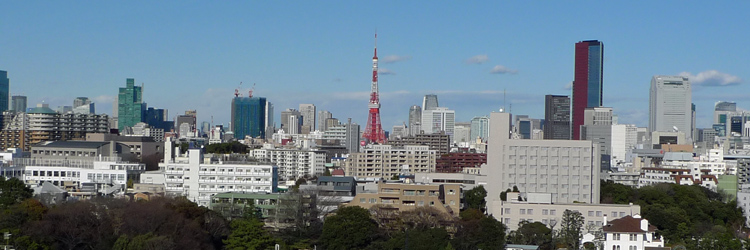 客室から望む東京タワーのある風景