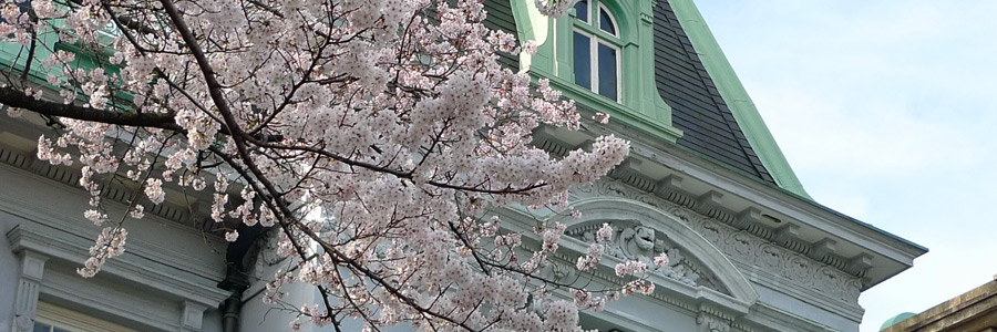 満開の桜と貴賓館