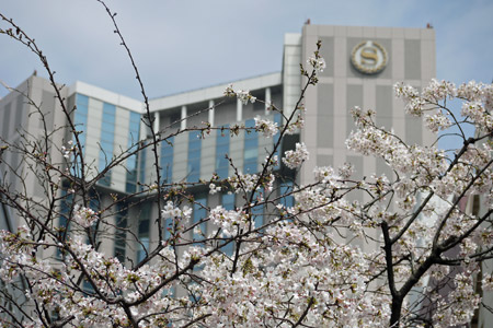 桜とホテル外観